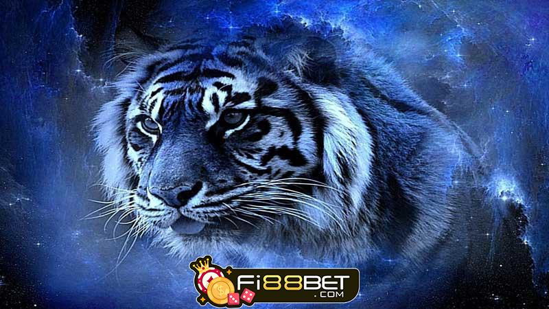 Fi88 giải mã giấc mơ chiêm bao thấy hổ